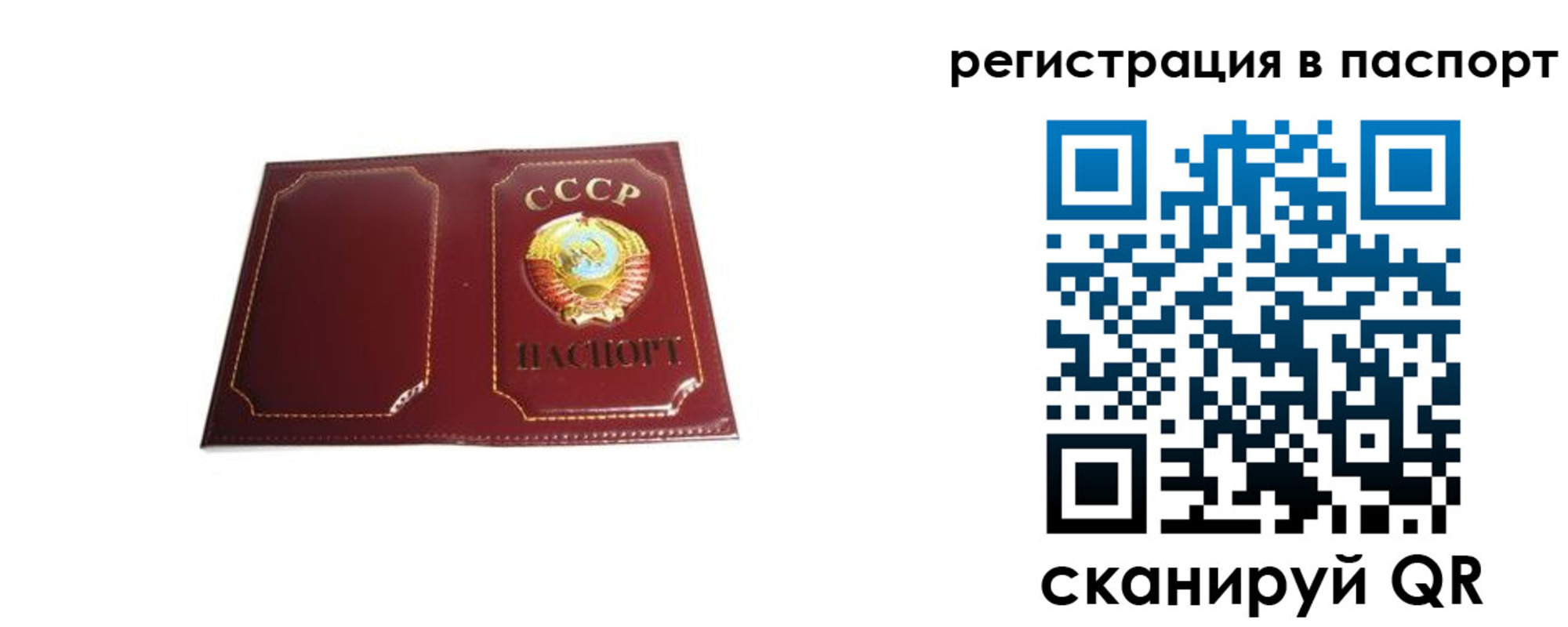 прописка 2025 в Ртищево